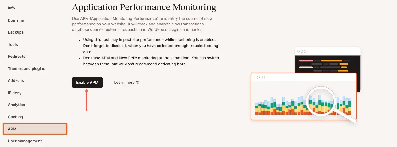 Kinsta Application Performance Monitoring screen in MyKinsta